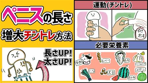 ちんこがでかくなる方法|ペニス（ちんこ）を大きくする食べ物8選！本当に効。